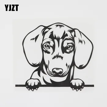 YJZT 15,4 см x 13,6 см Чудесна Такса, която гледа Куче Стикер Vinyl Стикер за Автомобил Black/Silver 8A-0521