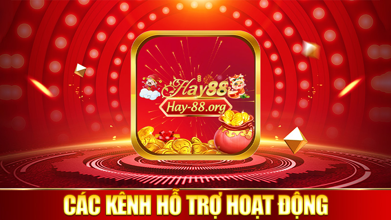 Các kênh hỗ trợ đang hoạt động