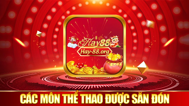 Các môn thể thao được anh em săn đón