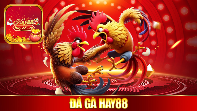 Đá gà Hay88 – Gà đá mà tiền về ầm ầm