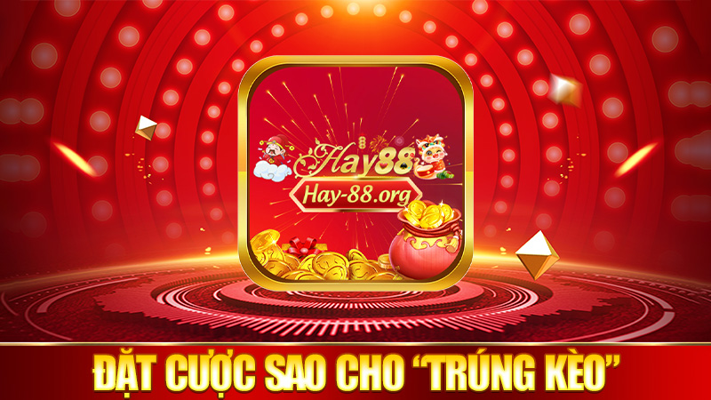 Đặt cược sao cho “trúng kèo”