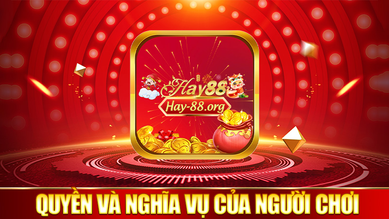 Những quyền và nghĩa vụ của người chơi